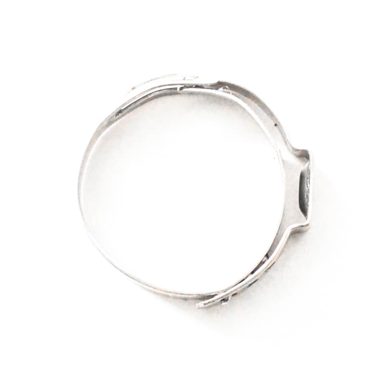 Stainless Safety Clamps -04